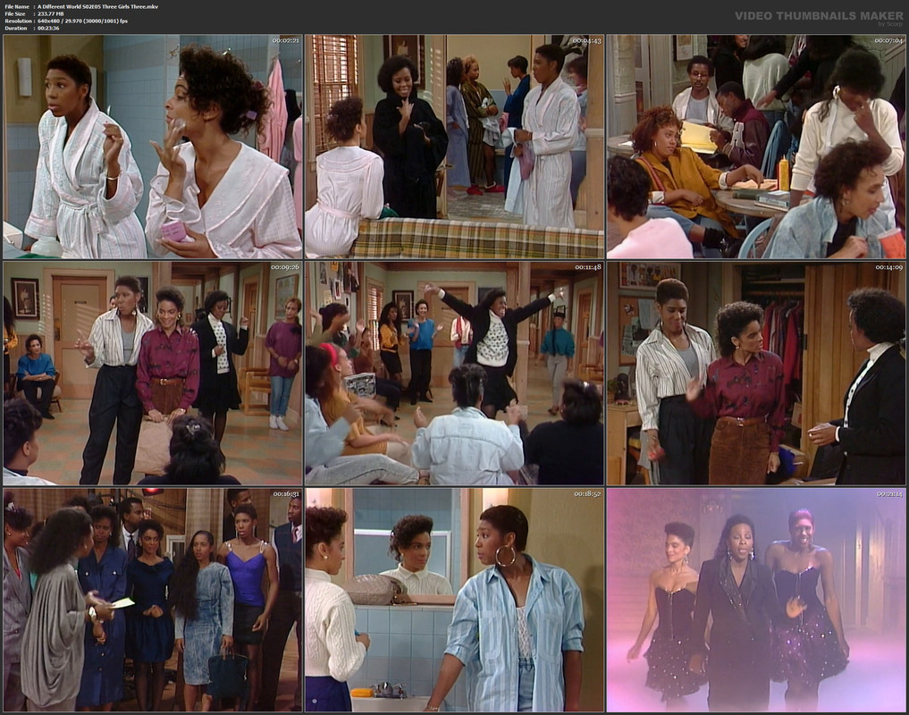 A Different World S02E05 Three Girls Three.mkv