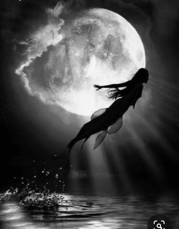 Screenshot_20230729_232431_Pinterest