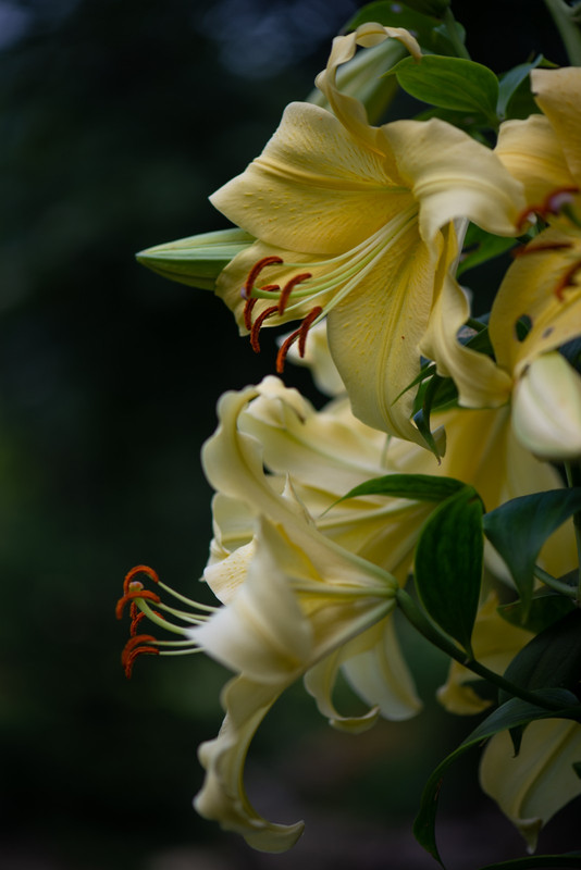 IMG-6e51db28485dd3b187d32a9fd0fd6151-V