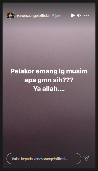 Vanessa Angel bicara soal pelakor
