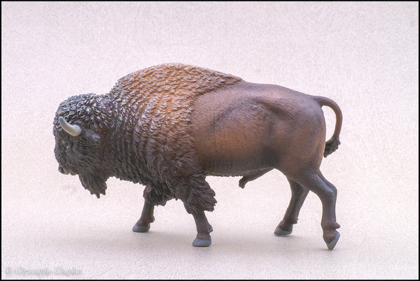 2022 Woodland Figure of the Year, time for your choices! - Maximum of 5 Collect-A-88968-American-Plains-Bison-2