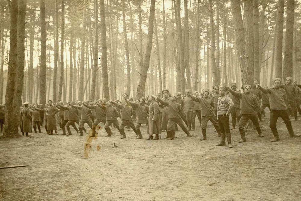 540984-cf66f37199ca3c15353e340418cc806d