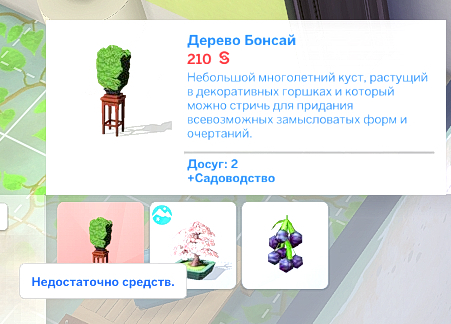 TS4_DX9_x64_2024-12-08_03-36-04.jpg