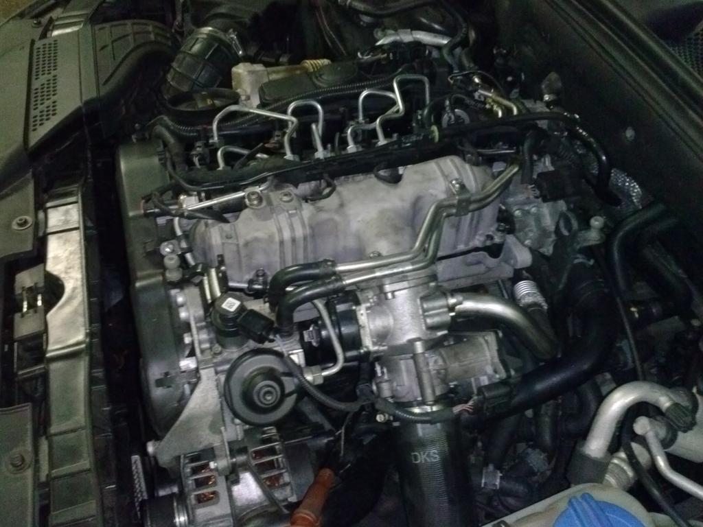 CAM04052.jpg