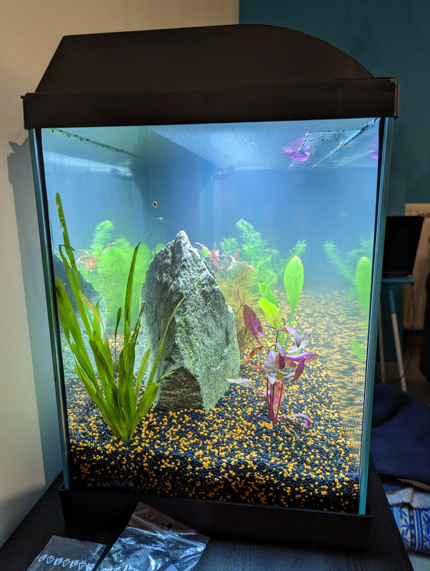 PXL_20230218_192049540