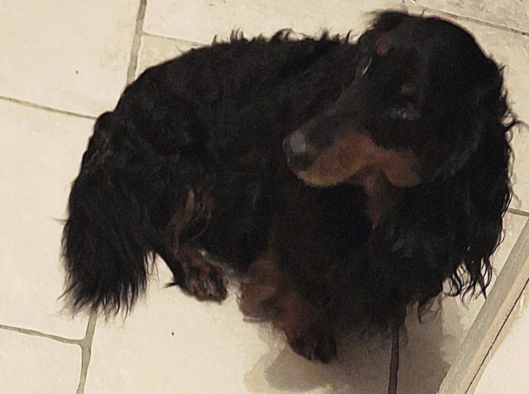 [Image: 20241129-170506.jpg]