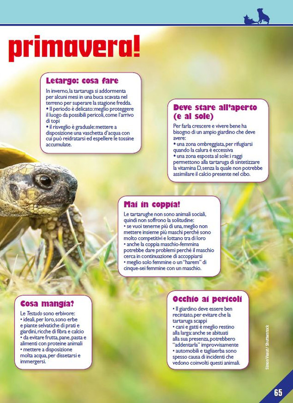 Foc Wil - Apr 2023 (10)