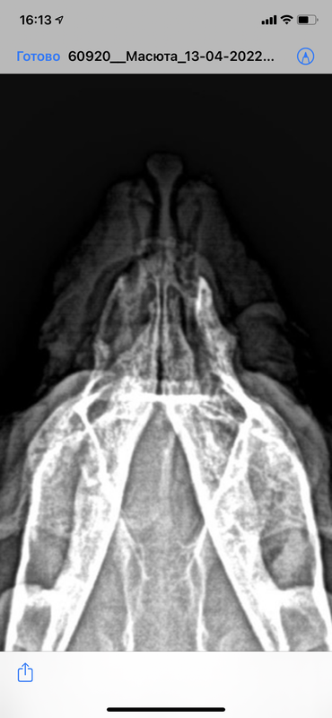 D70BA4BF-38EB-400E-A44E-6E9EFE68E01F