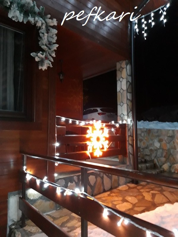Slika