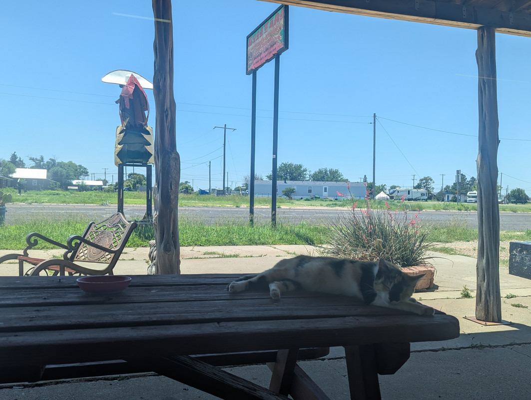 PXL_20250710_183541639