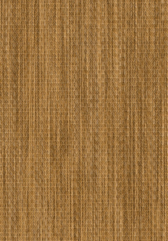 293748_441658295893794_1704886696_n_1