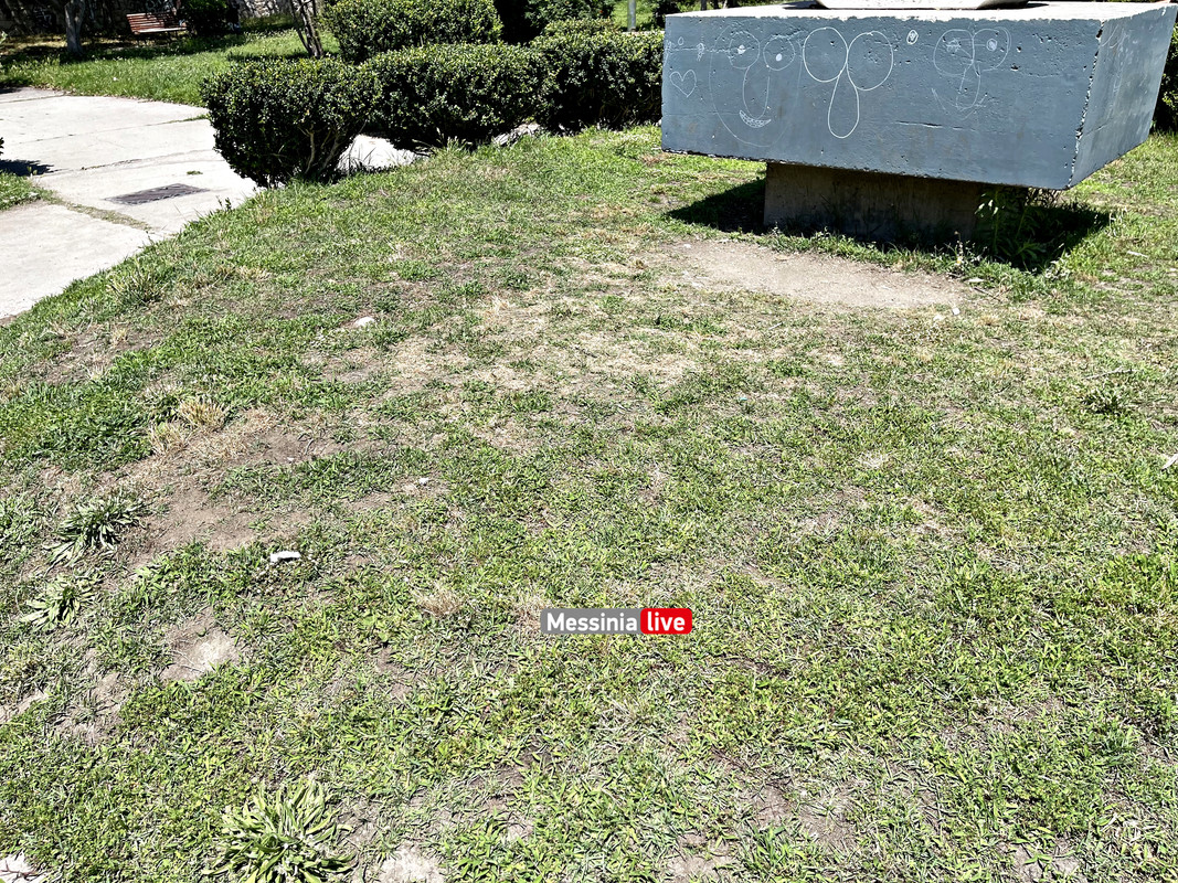 παρκο λιμενικούimage00015