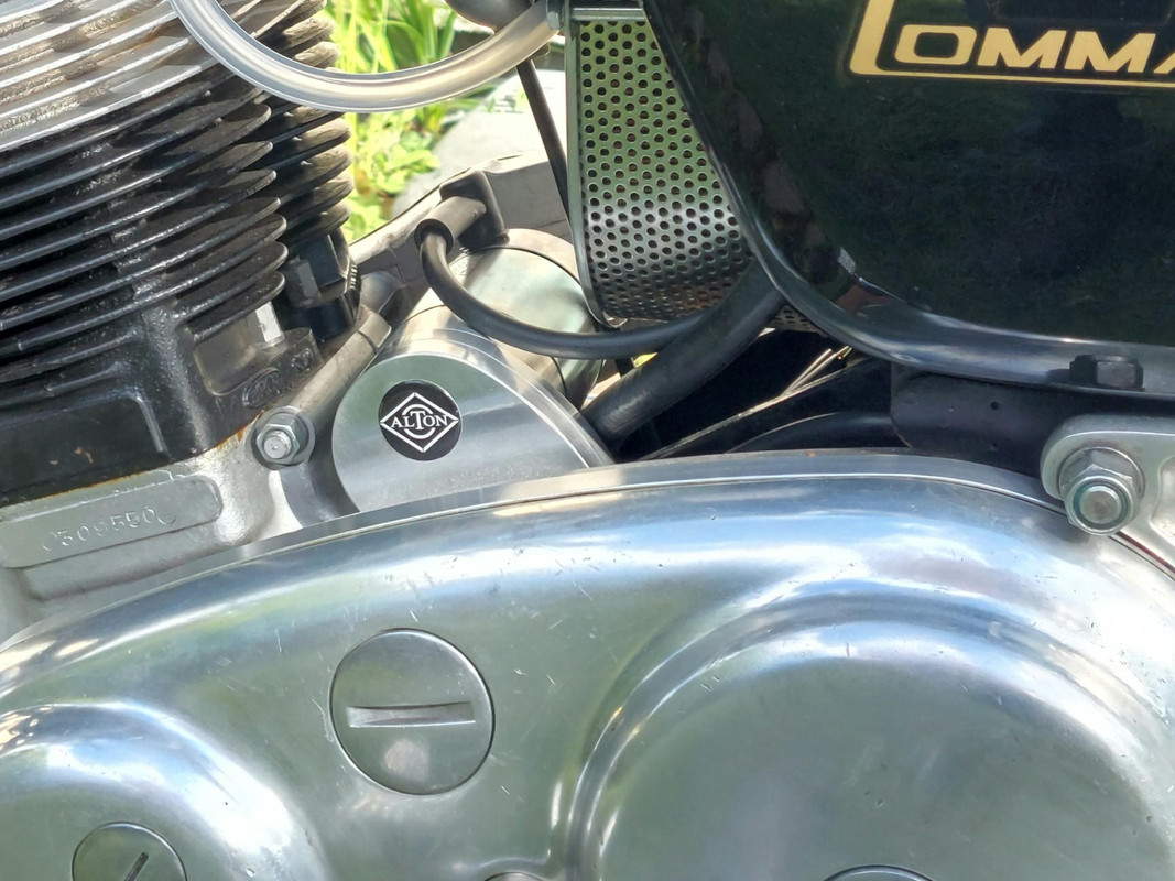 What Did You Do With Your Commando Today?