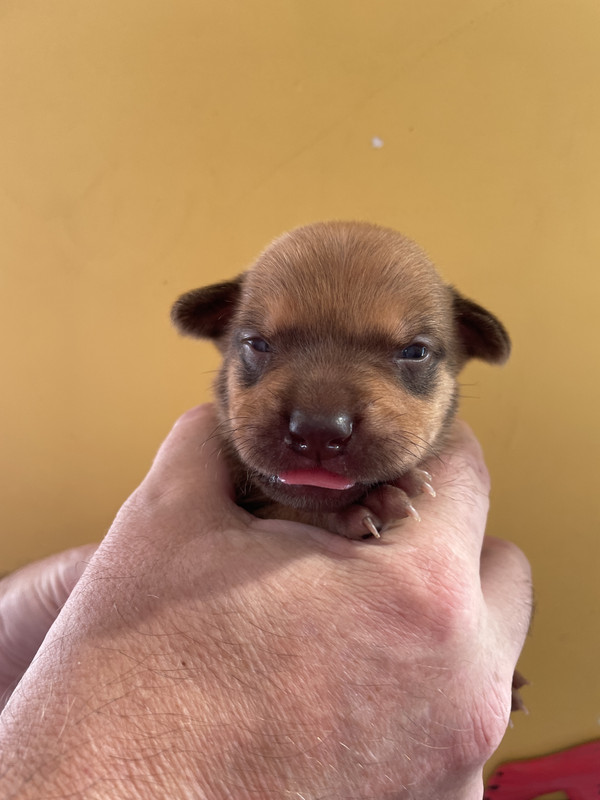 3C7A759E-C5B5-4EF3-863F-9D22F994F1C2