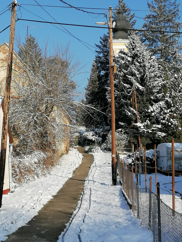 Kép
