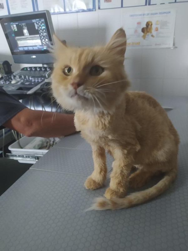 A339E010-4229-4E12-A927-F6AE2836CCC2