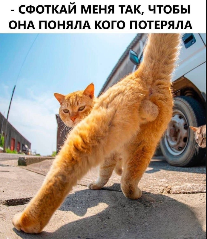 Снимок