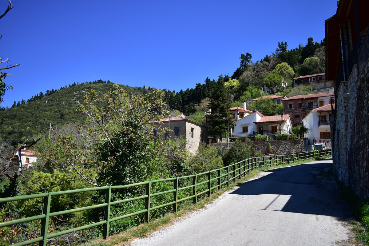Άνω Βλασία (11)