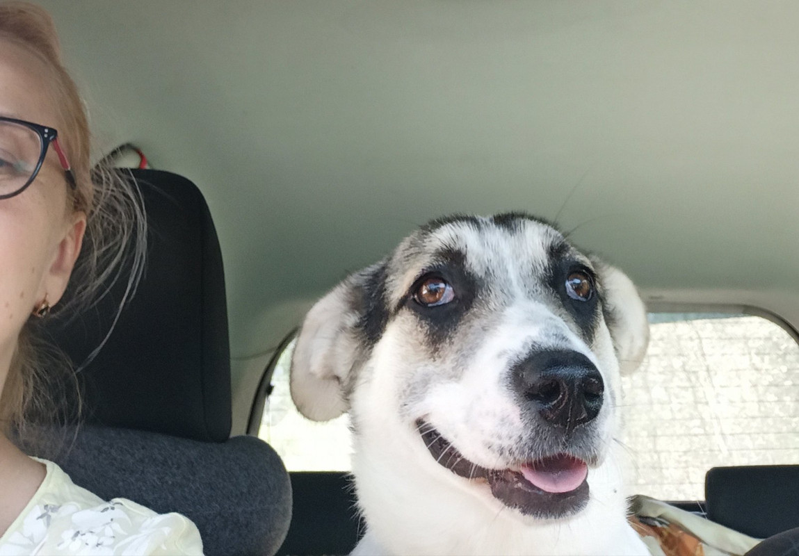 изображение_viber_2022-07-27_12-29-40-455