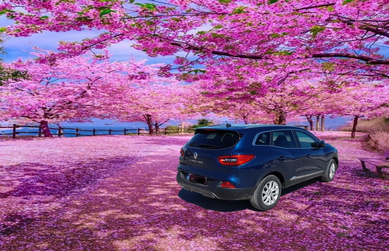 primavera