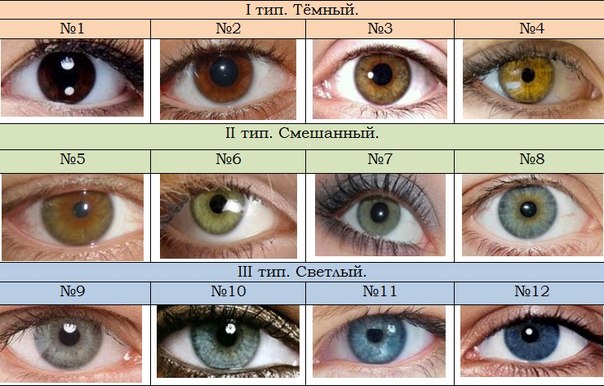 Eyecolouraccordingtobrunak.jpg