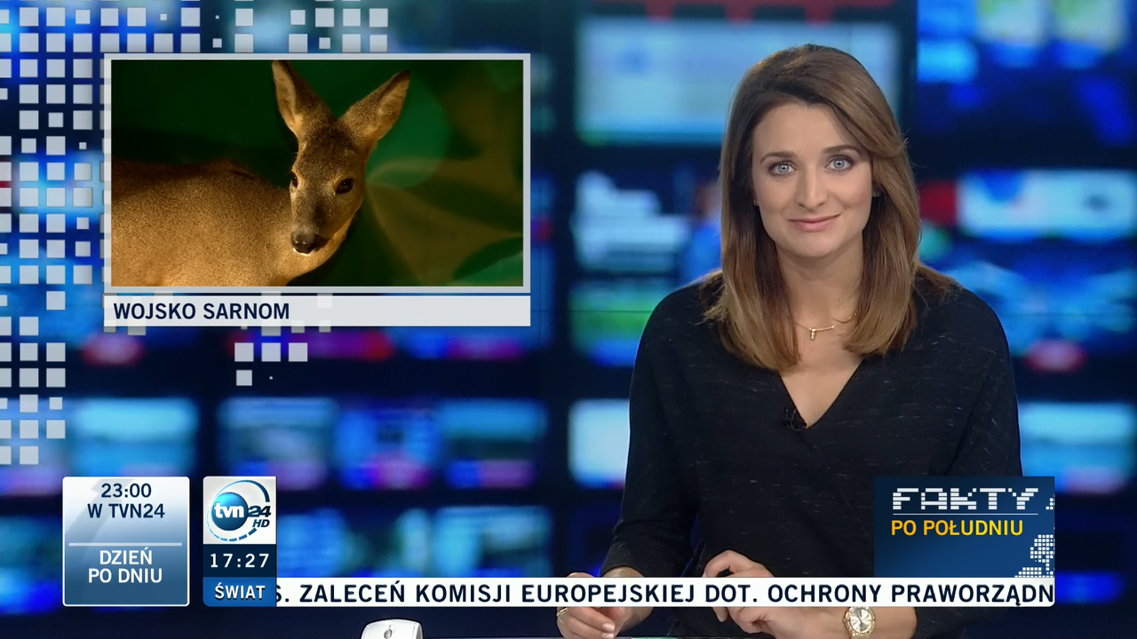 2016-10-25_Dagmara_Kaczmarek_Szalkow_TVN24_013