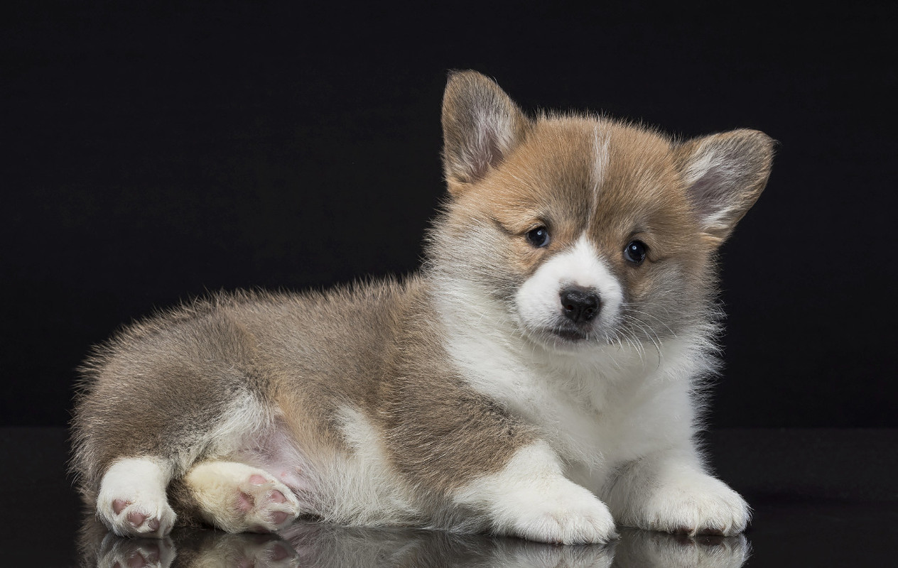 53132501-4CB7-4BCF-97F2-9F1AEB1D99C3