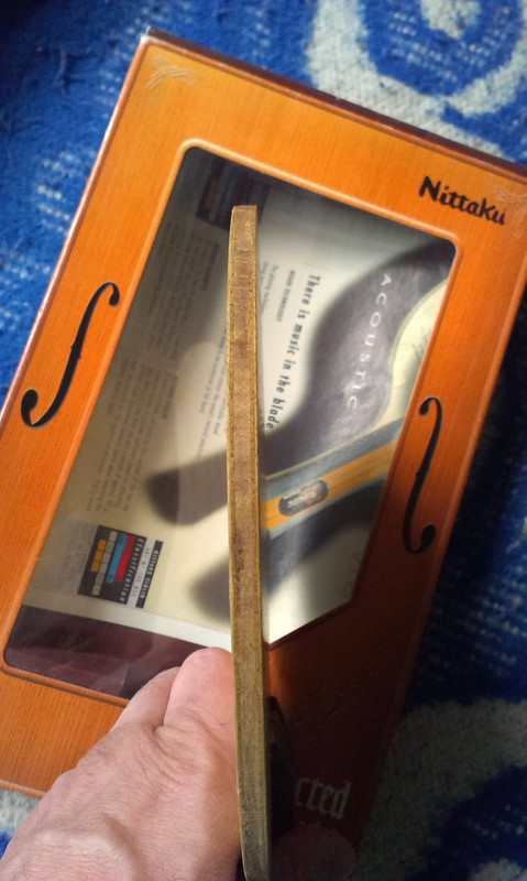 IMAG8813