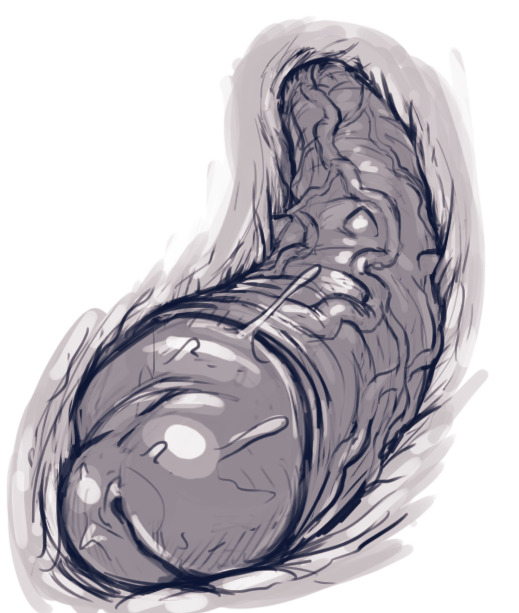 Harley Quinn Superslut Erojins (57)