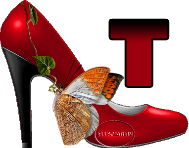 Zapato rojo pasion  T
