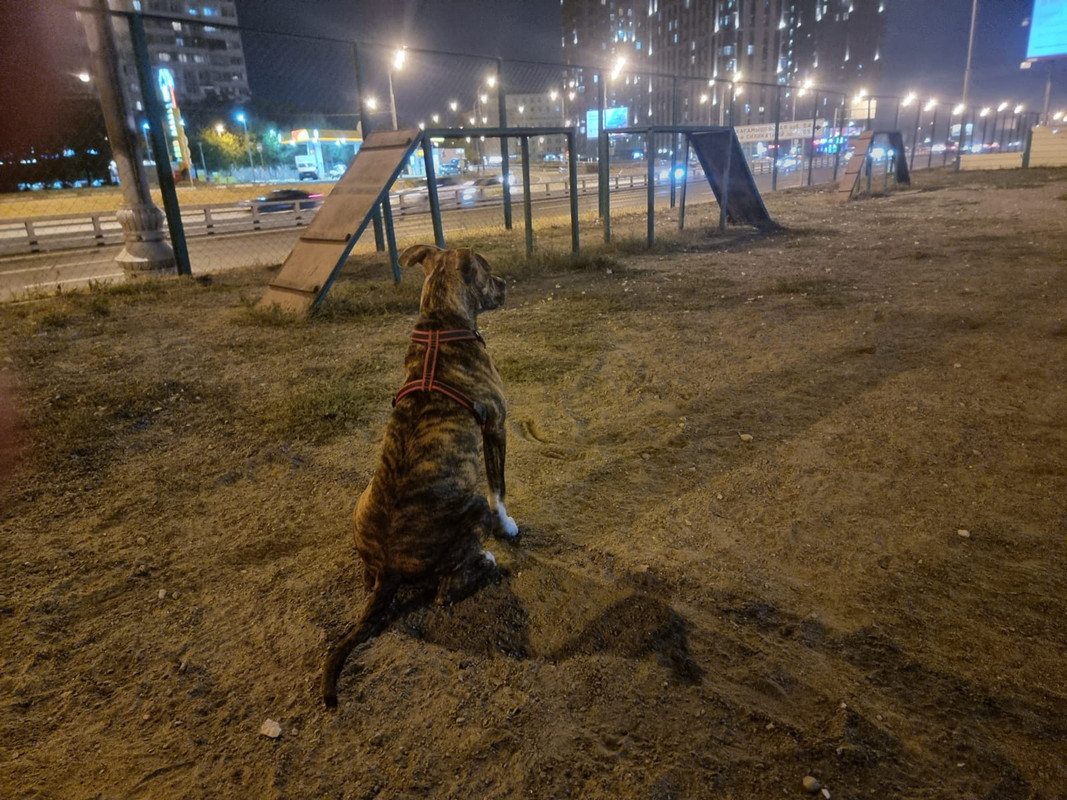 10E05430-34D0-4640-BE89-48750D57F2B4