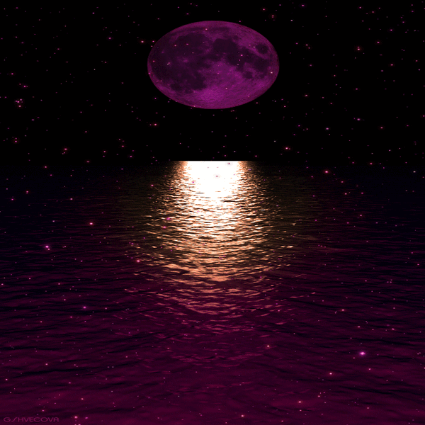 b229f4419705f1ed42d43f05b1ae4b9d-1