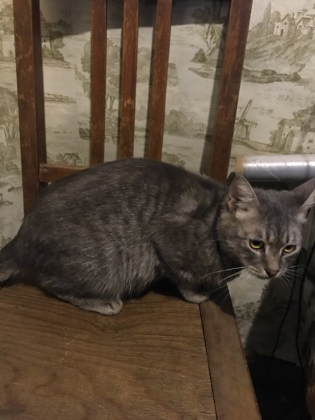 7A87F147-C48A-43DB-88D2-C78107DBF427