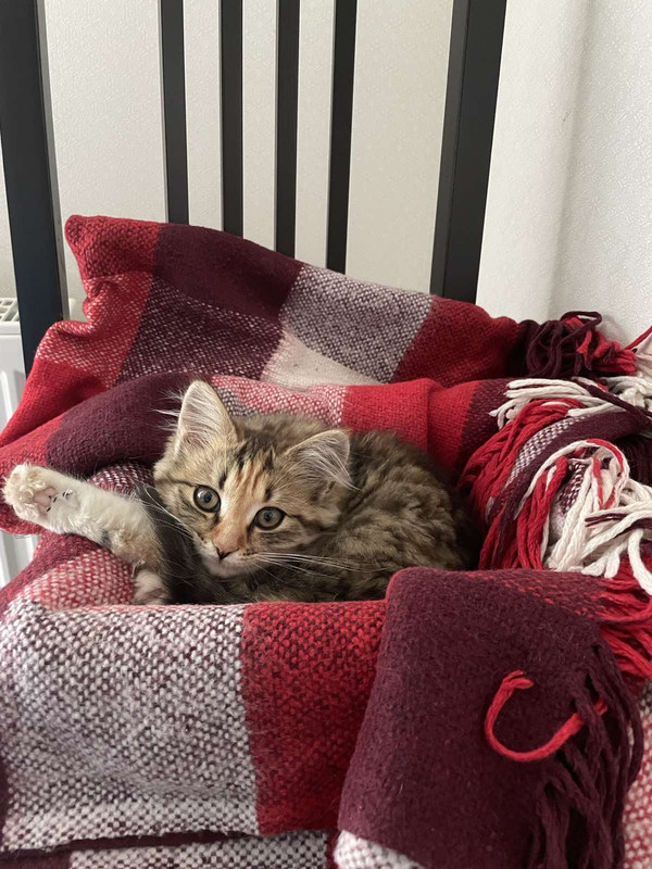 IMG-da29da5aadb8ec52a16be770bcd9d004-V