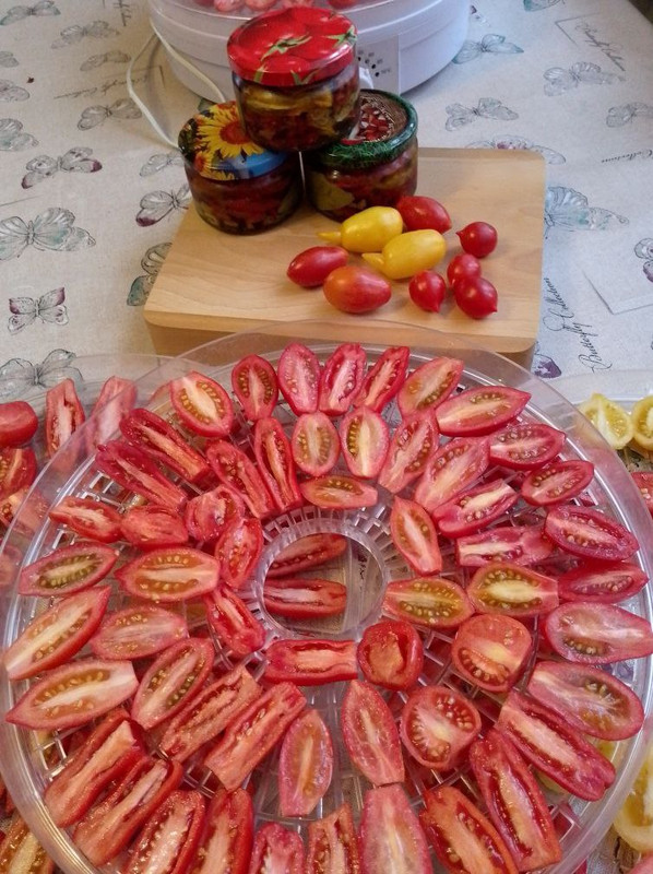 IMG_20231030_132019_003