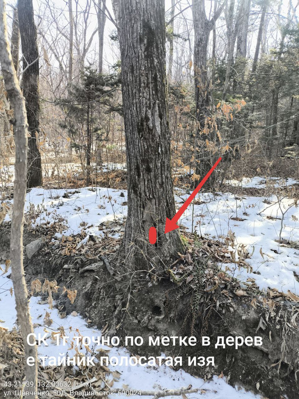 IMG 20260308 125121 255