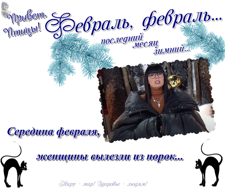 https://i.postimg.cc/j5Zww7Fd/18-02.png