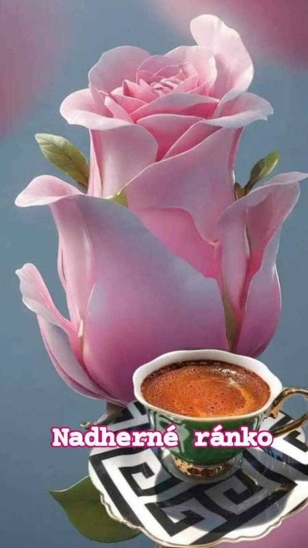 454865248_3804503573129641_7778861340839764499_n