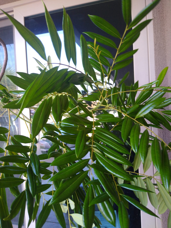 image0(1)