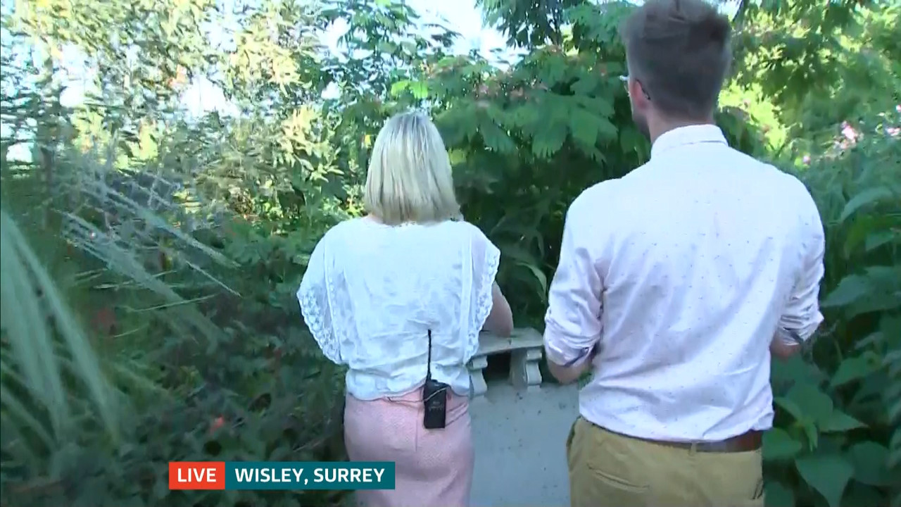ITV News London_20220810_18001830.ts_snapshot_22.13.466