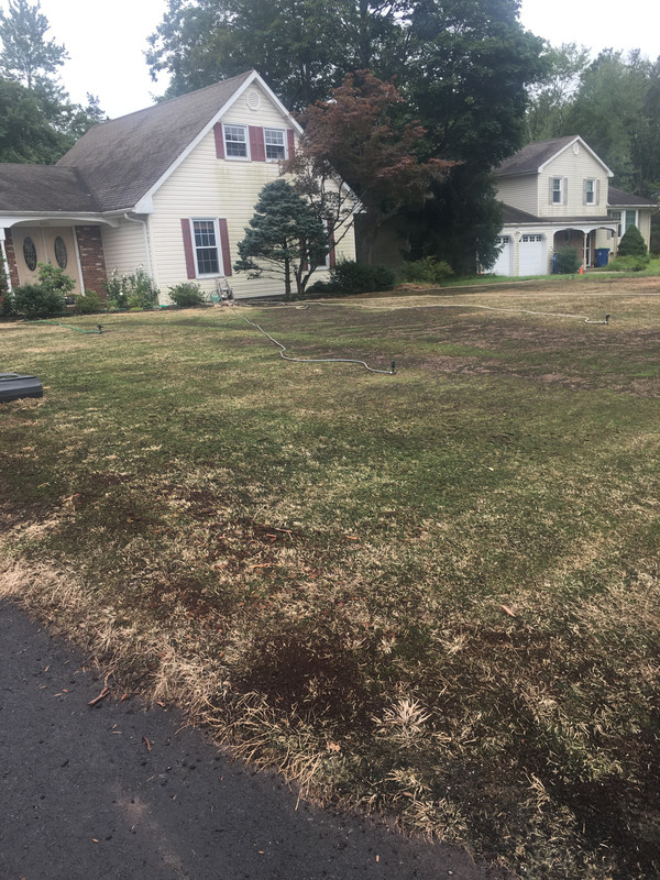 12825920-46E9-427F-8A7C-ADACE43C3BD5