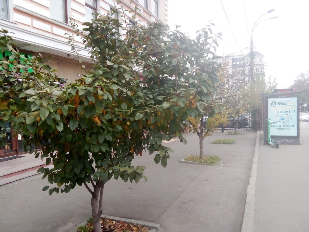 photo_2024-11-12 4.59.34 пп