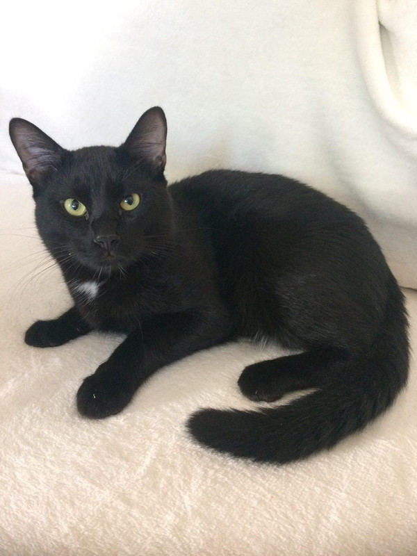 photo_2018-05-20_12-08-19 (2)