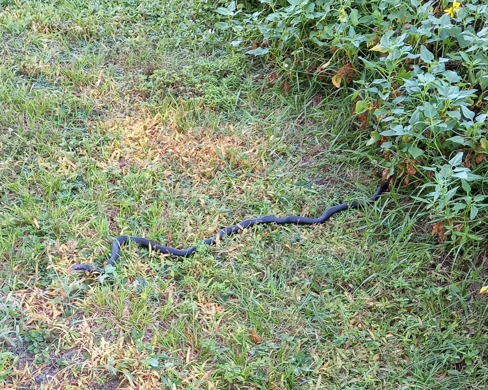 IMG_20231031_093903526~3