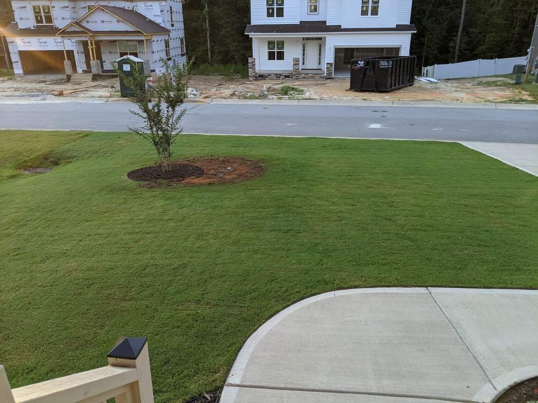 MVIMG_20200623_063957