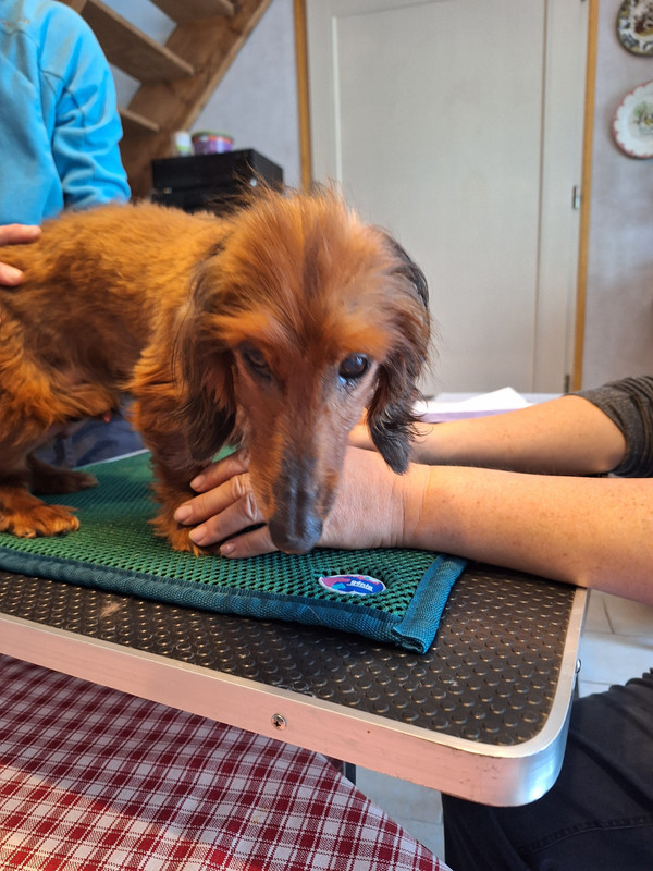 [Image: 20240430-193937.jpg]