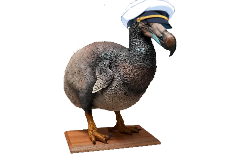 TheTopAdventure dodo