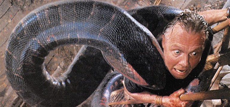 ANACONDA-REMAKE-FOTOR.jpg