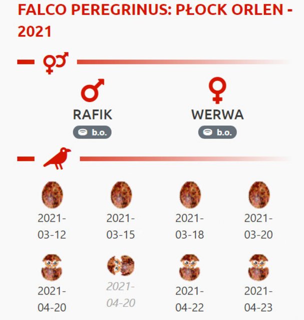 Płock "Orlen" Rafik en Werwa. - Pagina 3 Przechwytywanie-w-trybie-pe-noekranowym-29-04-2021-184611