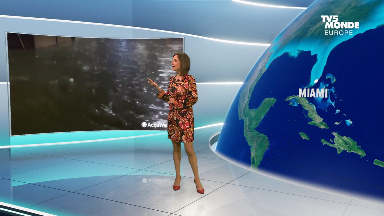 01.12 - 17.27.00 - Météo. Le bulletin météorologique international.ts_snapshot_06.51.116